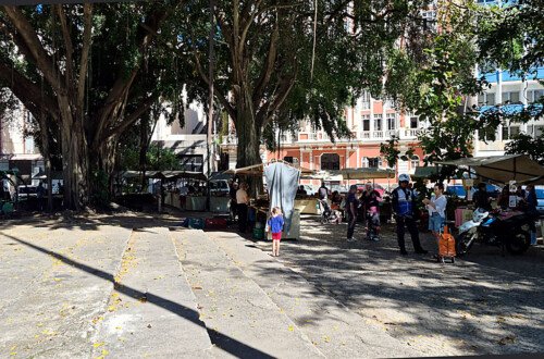 Feira de Produtos Orgânicos Feira de Produtos Orgânicos