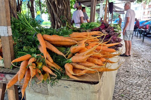 Feira de Produtos Orgânicos Feira de Produtos Orgânicos